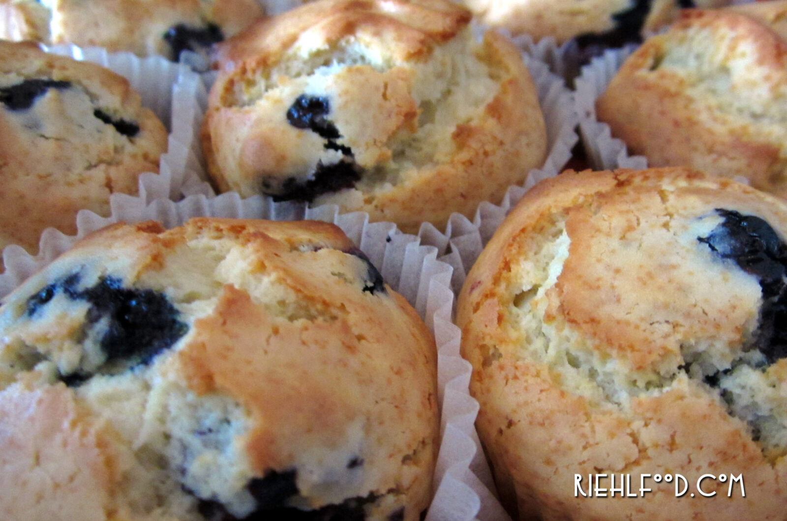 Blueberry Cream Muffins
