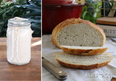 Sourdough Starter