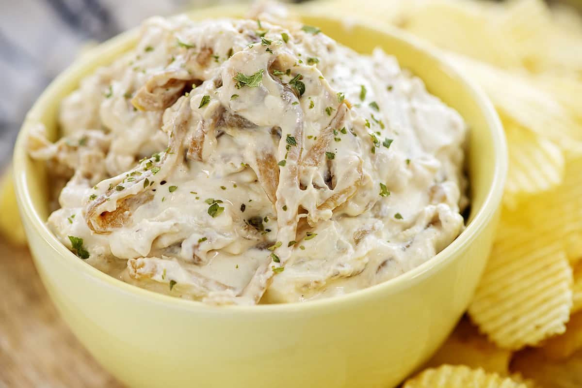 Caramelized Onion Dip